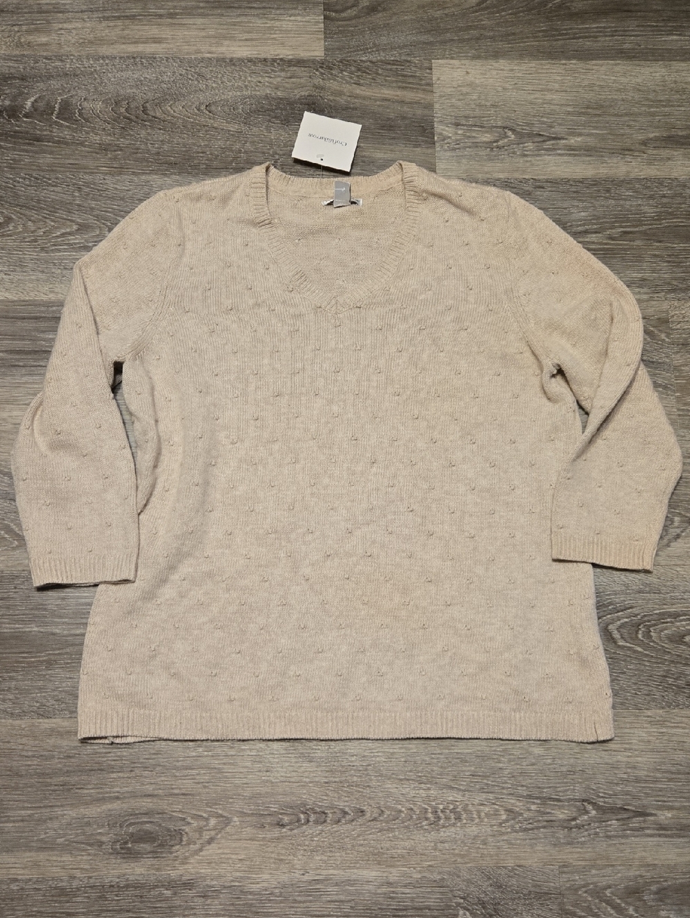 NWT Neutral Oatmeal V Neck Sweater XL